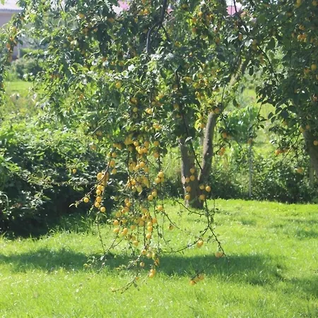 Hs Am Weidengrund Whg 4 Apartman *